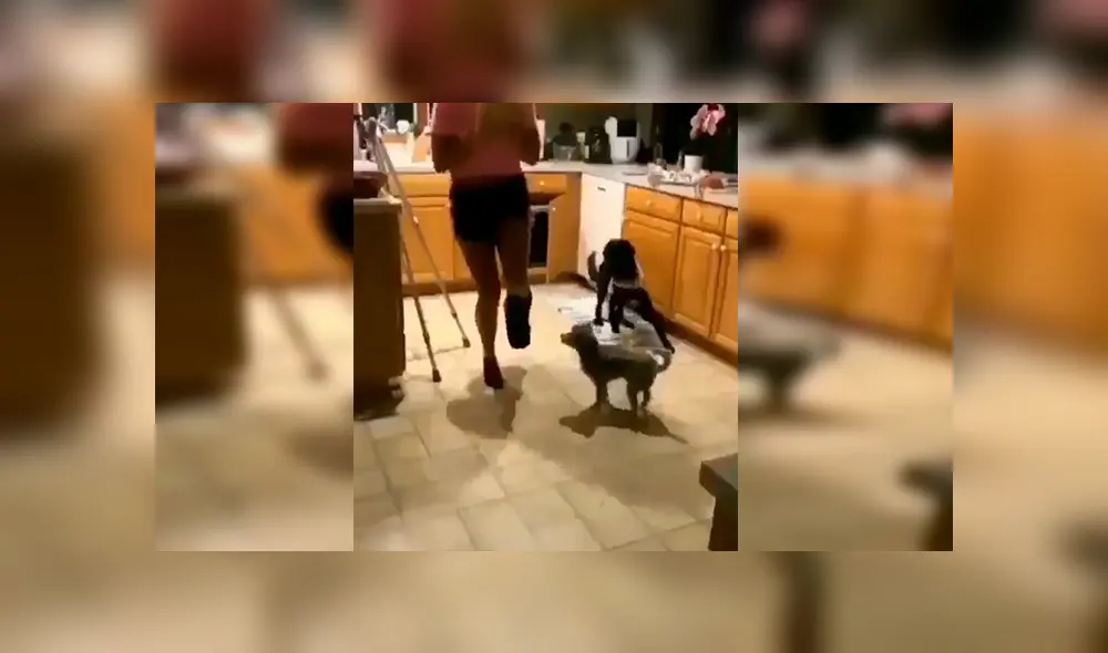 Facebook viral: chica con el pie enyesado fue imitada por sus perros de la peor forma posible [VIDEO] 