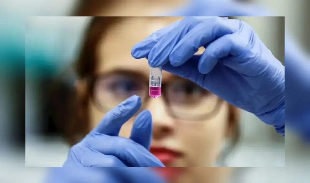 Créditos: EFE. Créditos: EFE.