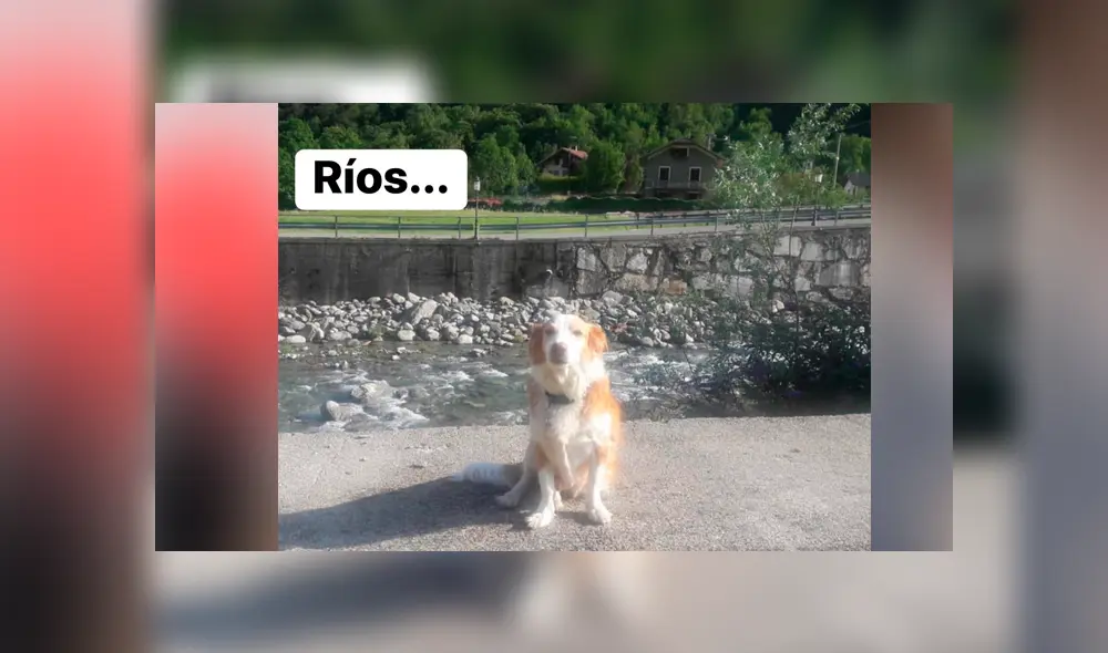 Desliza para ver los detalles de esta historia que conmovió a todos en Facebook. Foto: Captura. Desliza para ver los detalles de esta historia que conmovió a todos en Facebook. Foto: Captura.