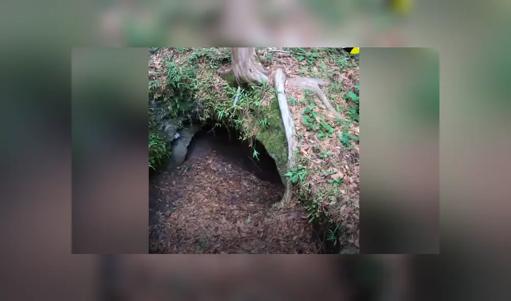 Una perrita fue encontrada atrapada en un cueva y un grupo de rescatistas le salvó la vida. Foto: Facebook.