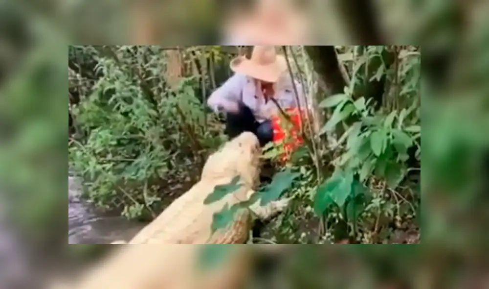 Desliza hacia la izquierda para ver las imágenes del viral de Facebook que muestran el encuentro de una mujer con un enorme cocodrilo.