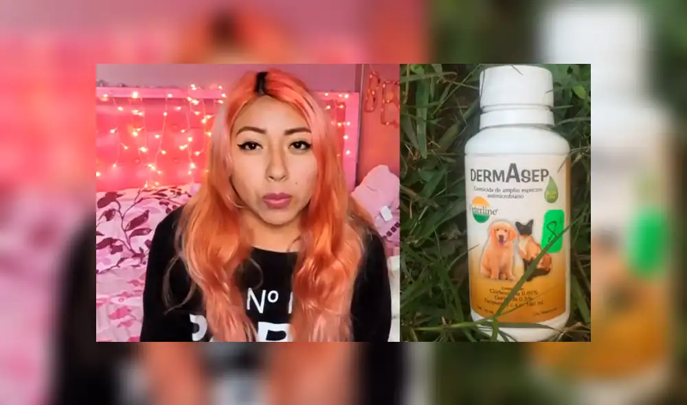 YouTube viral: ¿Qué debe tener la mochila de emergencia para mascotas? [VIDEO]