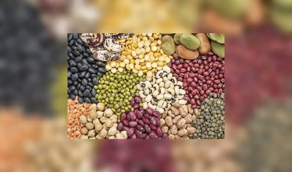 Día mundial de las legumbres: consumo per cápita en Perú está por debajo de lo que recomienda la OMS Día mundial de las legumbres: consumo per cápita en Perú está por debajo de lo que recomienda la OMS