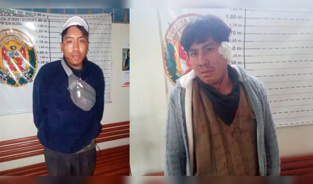 Sujeto arrancó pedazo de oreja a su propio hermano en Arequipa [VIDEO]