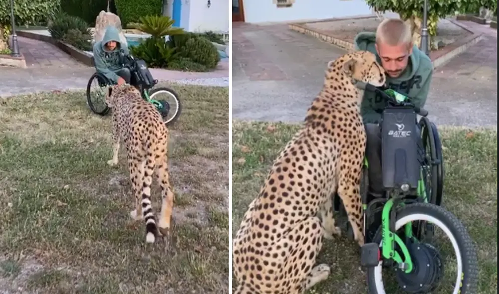 Desliza hacia la izquierda para ver las imágenes del video viral. Foto: Captura de Facebook.