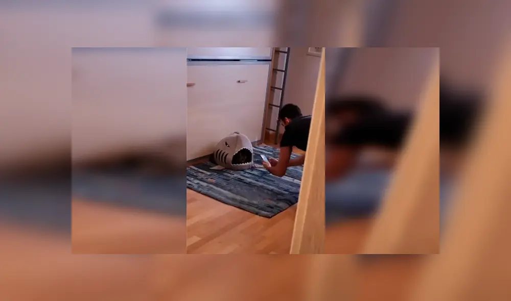 Desliza las imágenes para apreciar la curiosa escena protagonizada por un joven junto a la mascota de su pareja.