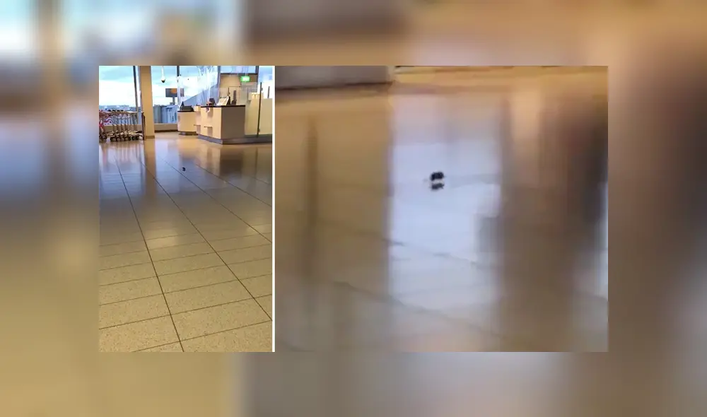 Desliza para ver los detalles del video viral publicado en YouTube. Foto: Captura.