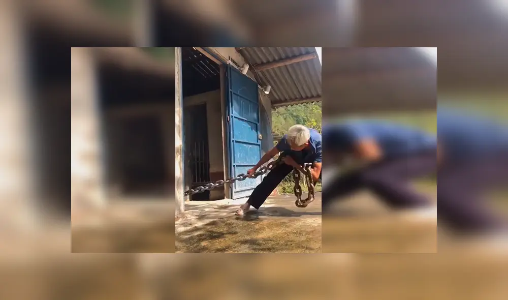 En YouTube, un hombre lidiaba con un enorme animal atado con unas cadenas y sorprendió a sus vecinos. En YouTube, un hombre lidiaba con un enorme animal atado con unas cadenas y sorprendió a sus vecinos.