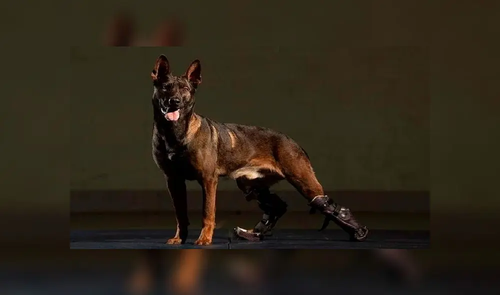 A health worker stops motorists to take swab samples for testing for the Covid-19 coronavirus at a testing camp in a residential area, in Chennai on August 30, 2020. - India on August 30 set a coronavirus record when it reported 78,761 new infections in 24 hours -- the world's highest single-day rise -- even as it continued to open up the economy. (Photo by Arun SANKAR / AFP) A health worker stops motorists to take swab samples for testing for the Covid-19 coronavirus at a testing camp in a residential area, in Chennai on August 30, 2020. - India on August 30 set a coronavirus record when it reported 78,761 new infections in 24 hours -- the world's highest single-day rise -- even as it continued to open up the economy. (Photo by Arun SANKAR / AFP)