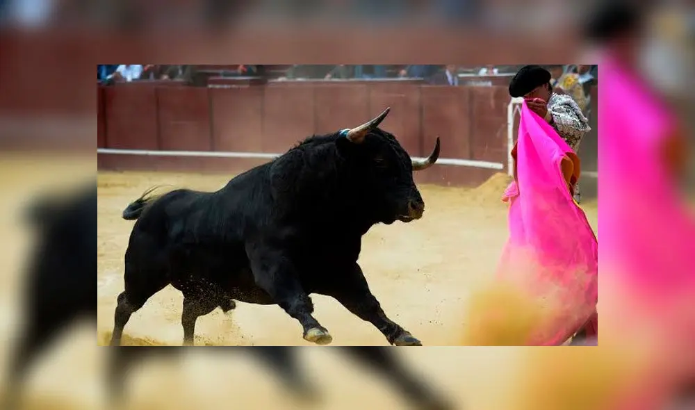Alcaldía de Medellín prohíbe corrida de toros en la ciudad. Foto: CNN Alcaldía de Medellín prohíbe corrida de toros en la ciudad. Foto: CNN