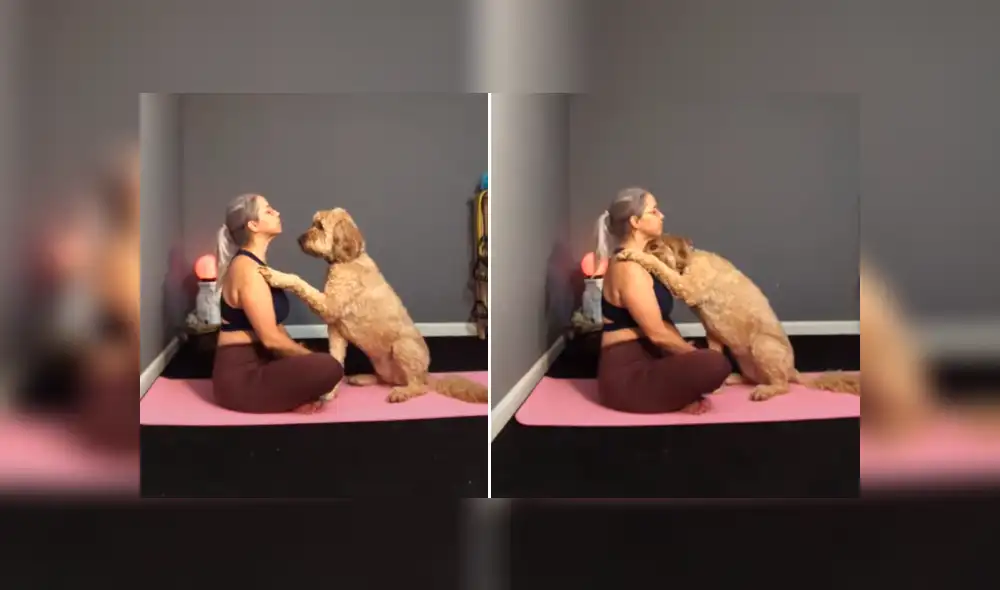 Desliza hacia la izquierda para ver más del video viral. Fotocaptura: YouTube