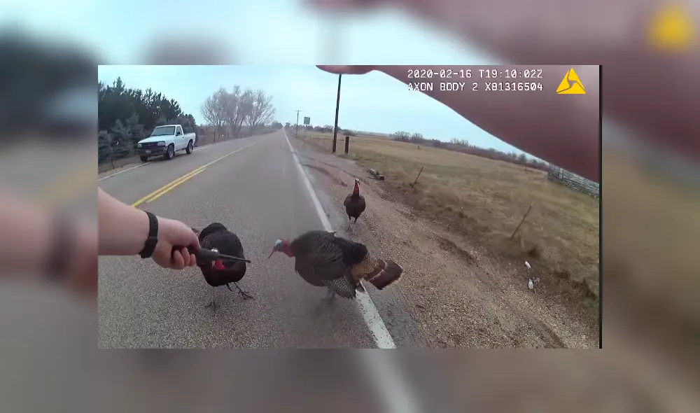 Desliza para ver todas las imágenes de Facebook. Foto: captura.