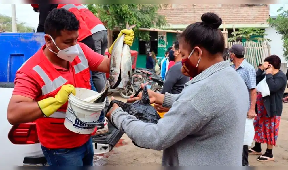 Distribuyen 20 toneladas de pescado en Piura.