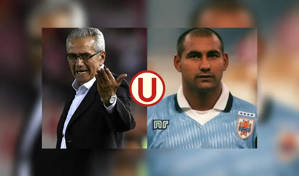 Edgardo Adinolfi será la mano derecha de Gregorio Pérez en la "U". Edgardo Adinolfi será la mano derecha de Gregorio Pérez en la "U".