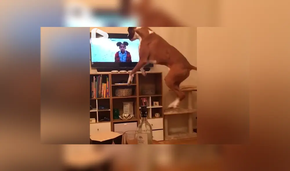 Desliza para ver los momentos más tierno del video que se hizo viral en Facebook. Desliza para ver los momentos más tierno del video que se hizo viral en Facebook.