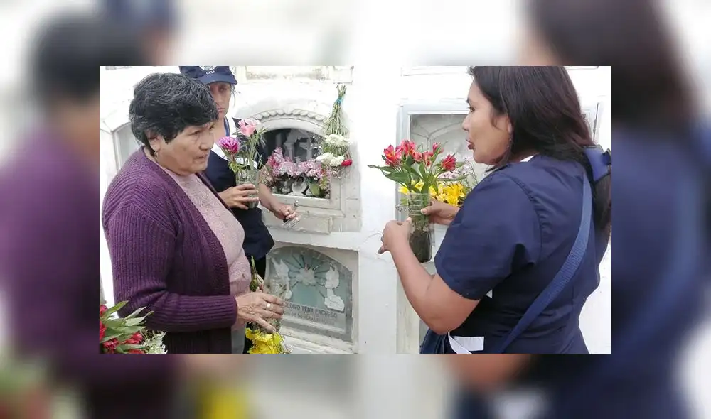 Uso de arena húmeda en cementerios podría evitar criaderos de zancudos Uso de arena húmeda en cementerios podría evitar criaderos de zancudos