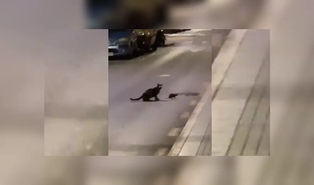 Desliza hacia la izquierda para ver más del video viral