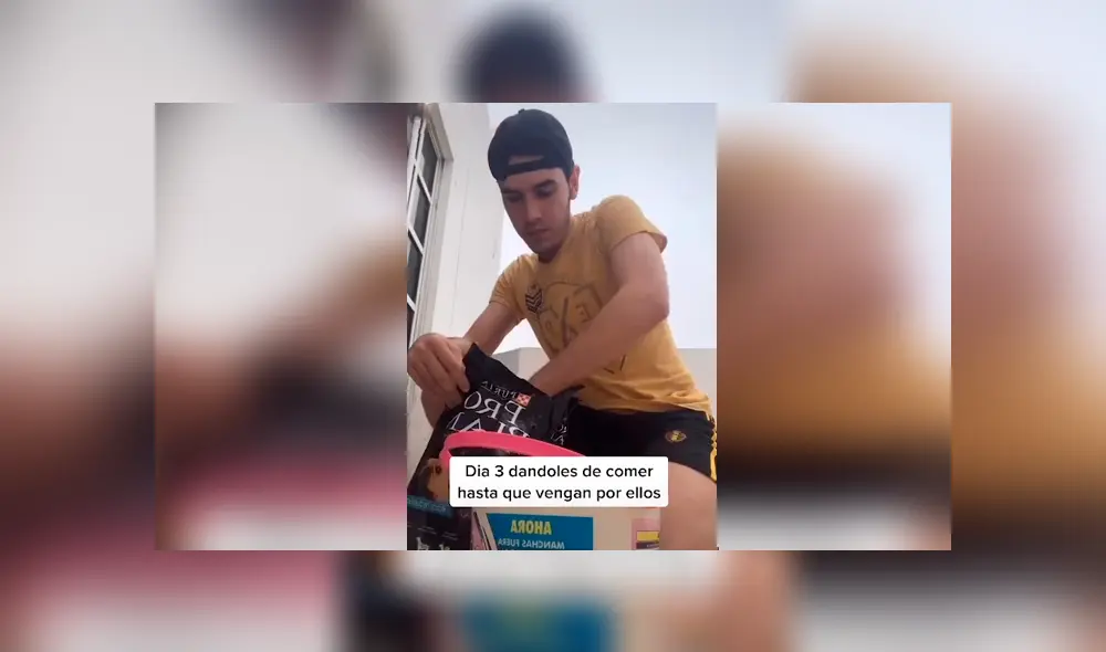 Desliza las imágenes hacia la izquierda para observar la noble acción de un joven para ayudar a unos indefensos perros. Desliza las imágenes hacia la izquierda para observar la noble acción de un joven para ayudar a unos indefensos perros.