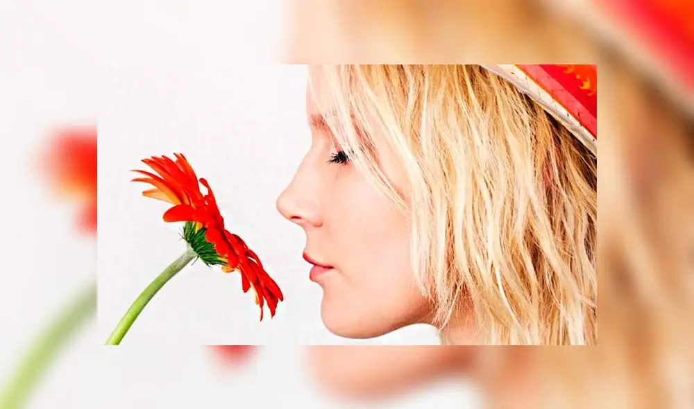 La pérdida del olfato estaría vinculado al daño de una célula en específico, según investigadores de Harvard. (Foto: QFC) La pérdida del olfato estaría vinculado al daño de una célula en específico, según investigadores de Harvard. (Foto: QFC)