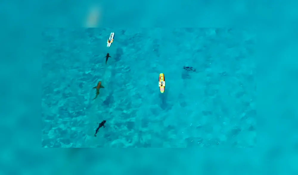 El increíble experimento causó gran impacto en miles de usuarios en las redes sociales. Foto: Mark Rober El increíble experimento causó gran impacto en miles de usuarios en las redes sociales. Foto: Mark Rober