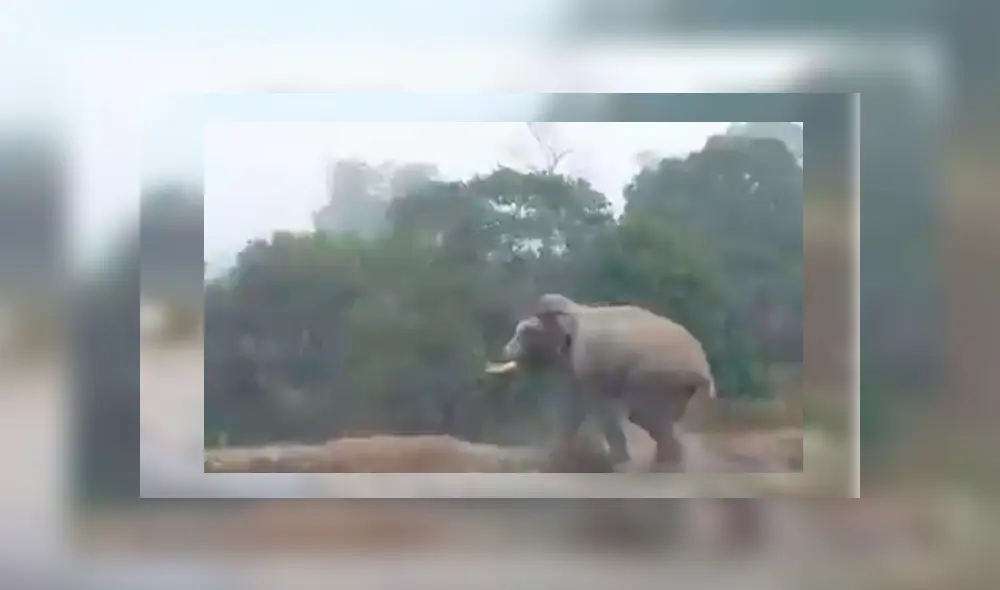 Desliza hacia la izquierda para ver más del video viral Desliza hacia la izquierda para ver más del video viral