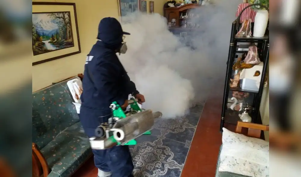 Minsa: Continuarán fumigaciones en distrito chiclayano de Tumán para erradicar dengue