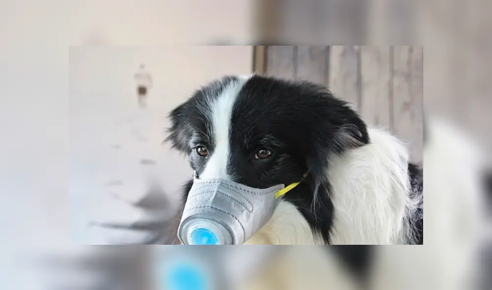 Desliza a la izquierda para ver el viral de Facebook. Desliza a la izquierda para ver el viral de Facebook.