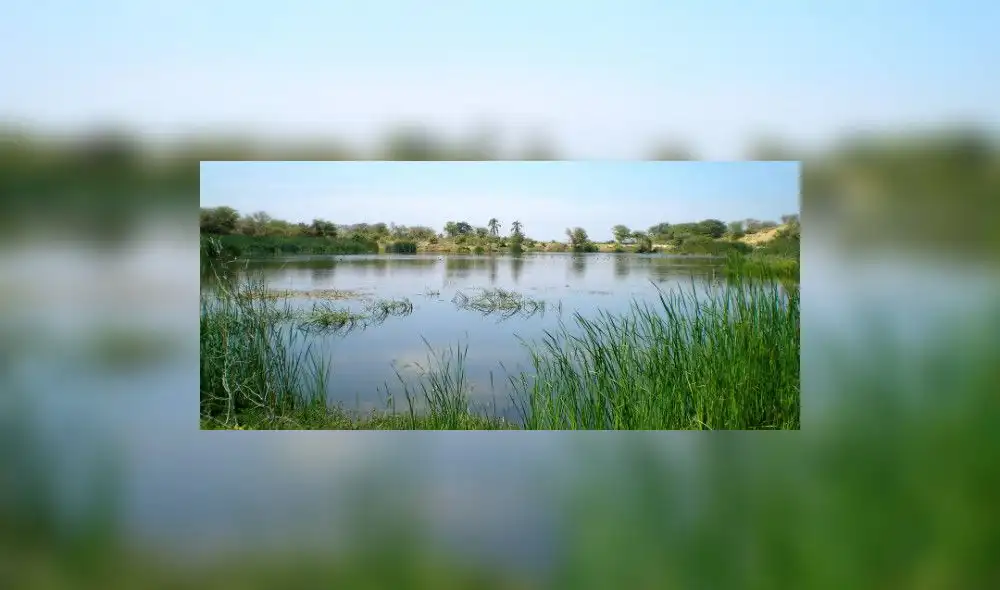 Día de los Humedales: ¡No hay nada que celebrar!