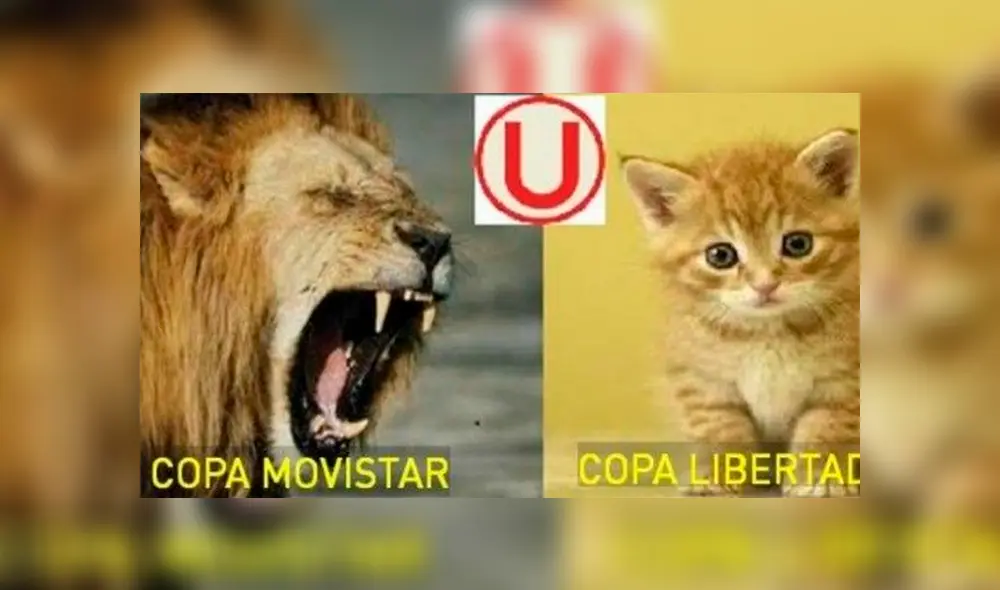 ¡Qué risa! Los memes más divertidos que dejó el sorteo de la Copa Libertadores 2020 [GALERÍA]