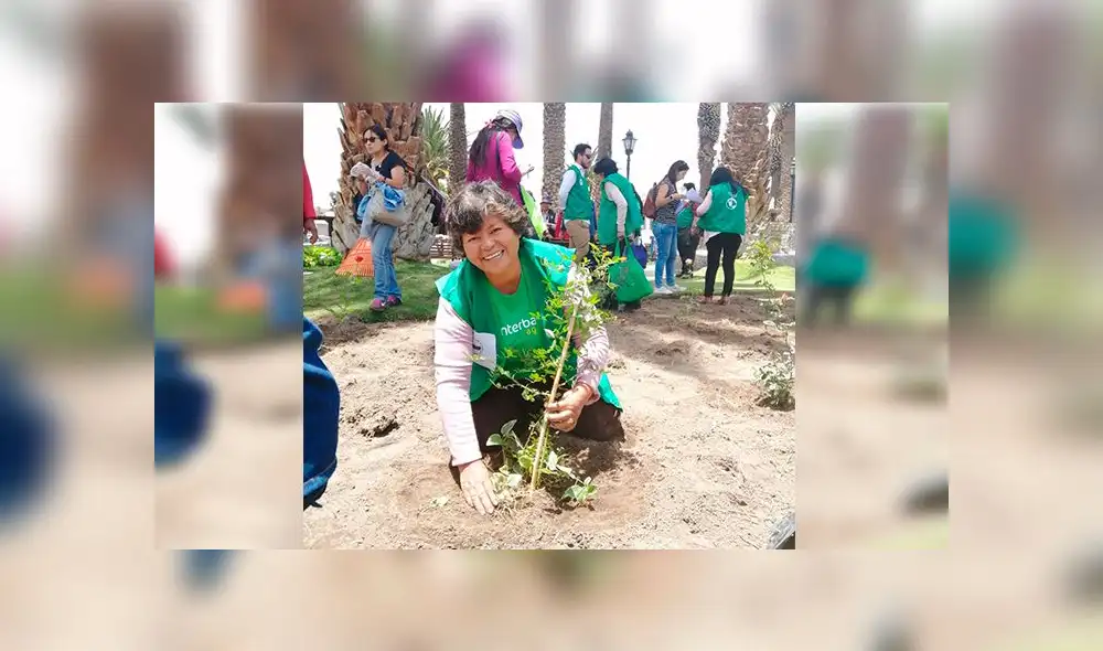 Personas dedicadas al cultivo de plantas ornamentales sembraron rosas en Yanahuara. Personas dedicadas al cultivo de plantas ornamentales sembraron rosas en Yanahuara.