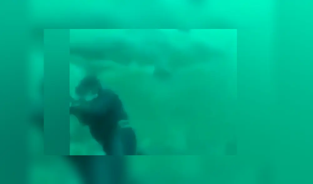 Es viral en YouTube. Hombre no se percató del escualo que apareció detrás de él y abrió sus enormes fauces para devorar su cabeza Es viral en YouTube. Hombre no se percató del escualo que apareció detrás de él y abrió sus enormes fauces para devorar su cabeza