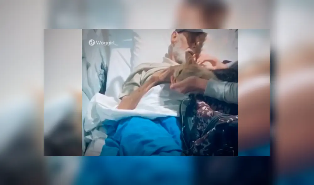 Desliza las imágenes para observar el noble gesto de unos jóvenes para sorprender a su abuelo en el hospital.