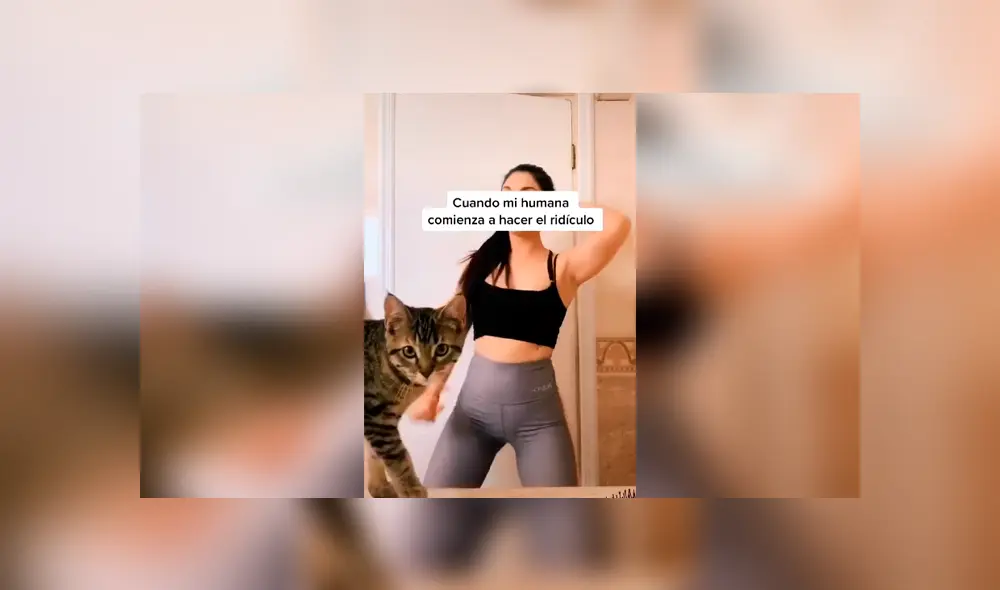 Desliza las imágenes para apreciar la travesura de un gato cuando su dueña realizaba una atrevida coreografía. Foto: Captura. Desliza las imágenes para apreciar la travesura de un gato cuando su dueña realizaba una atrevida coreografía. Foto: Captura.