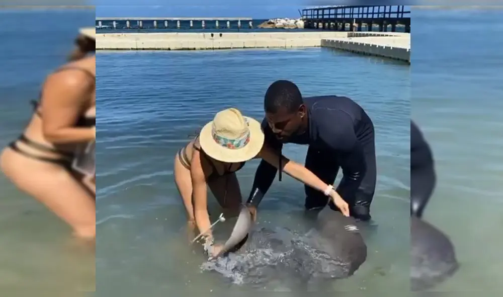 Rosángela Espinoza sufre peligroso momento al cargar una mantarraya [VIDEO]