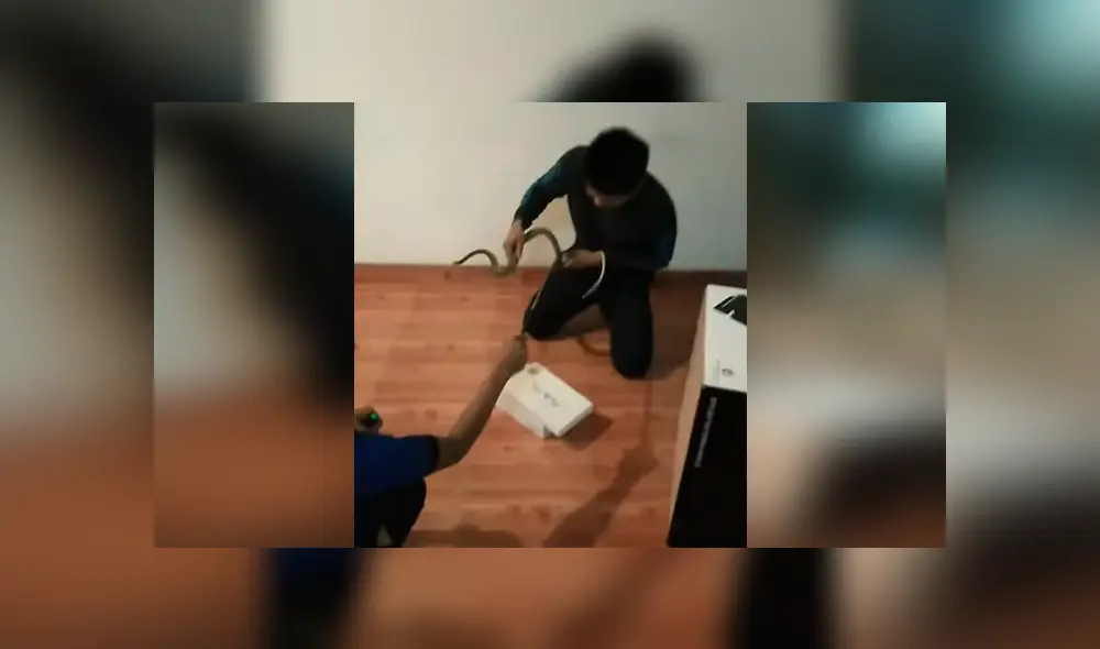 Escucha extraños sonidos dentro de armario, lo abre y encuentra terrorífica criatura [VIDEO] 