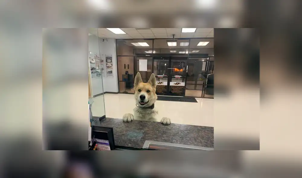 Desliza a la izquierda para conocer esta divertida historia que es viral en Facebook. Foto: Publicación original. Desliza a la izquierda para conocer esta divertida historia que es viral en Facebook. Foto: Publicación original.