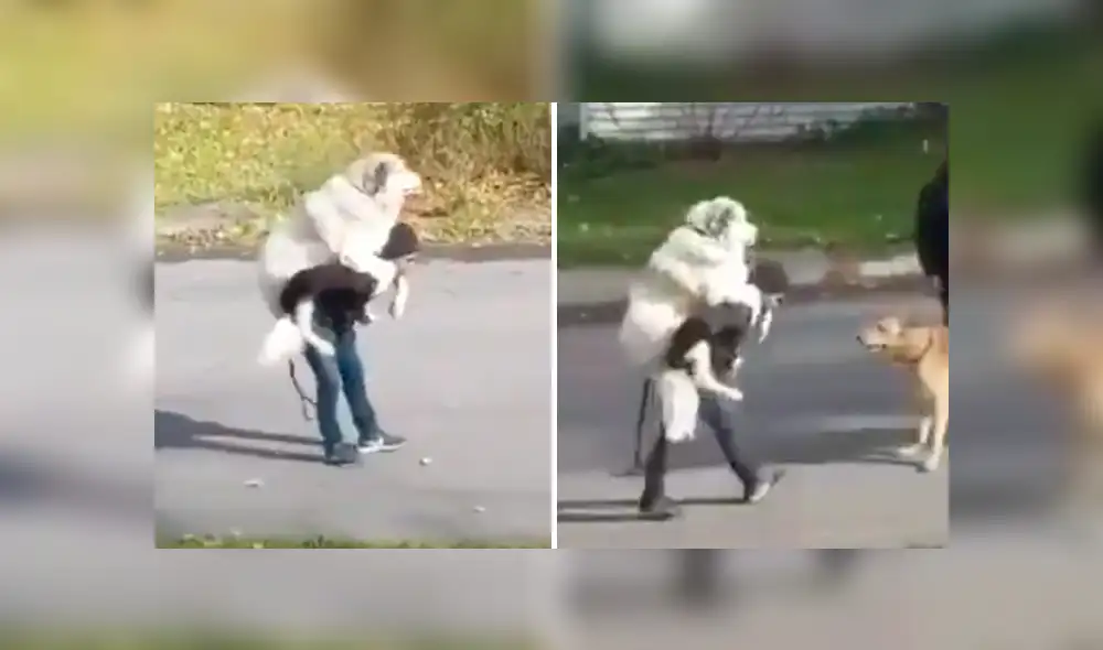 Desliza para ver los momentos más curiosos del video que se hizo viral en Facebook.