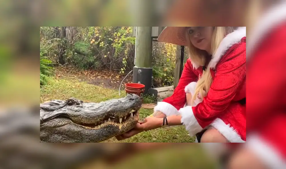 Desliza hacia la izquierda para ver el encuentro de 'mamanuela' con un cocodrilo, escena que es viral en YouTube.
