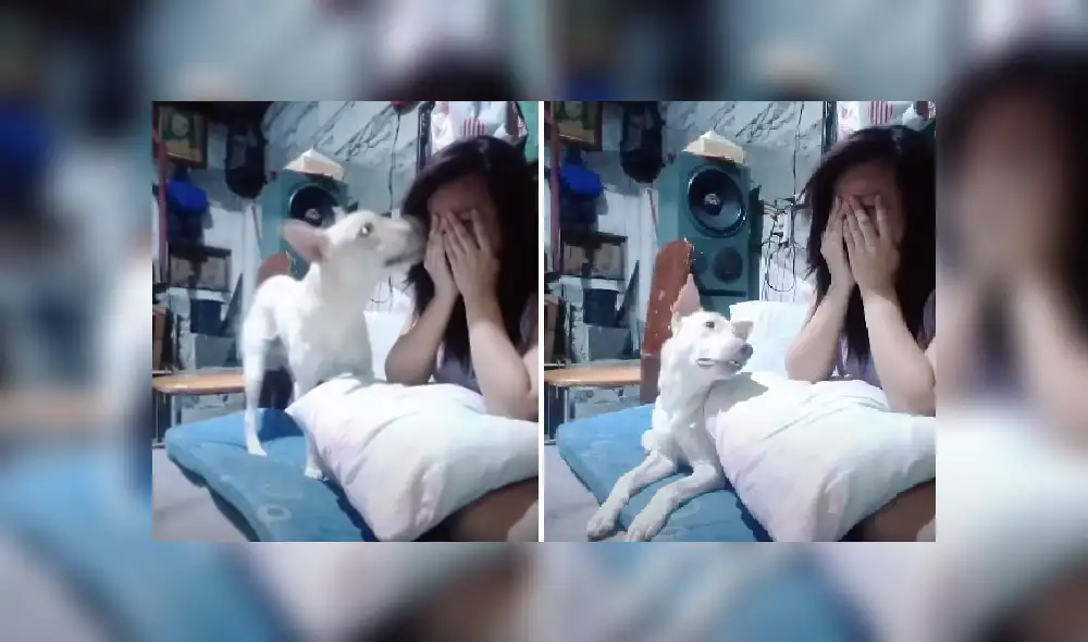 Desliza las imágenes para ver más detalles de esta emotiva escena que es viral en YouTube. Desliza las imágenes para ver más detalles de esta emotiva escena que es viral en YouTube.