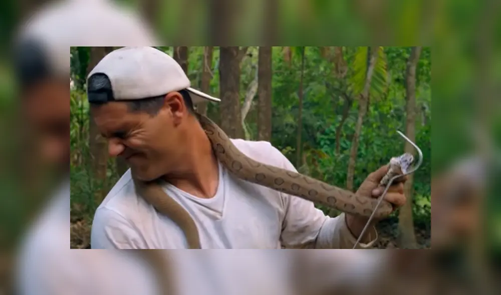 En YouTube se hizo viral la arriesgada expedición para encontrar a una de las serpientes más letales del mundo. En YouTube se hizo viral la arriesgada expedición para encontrar a una de las serpientes más letales del mundo.