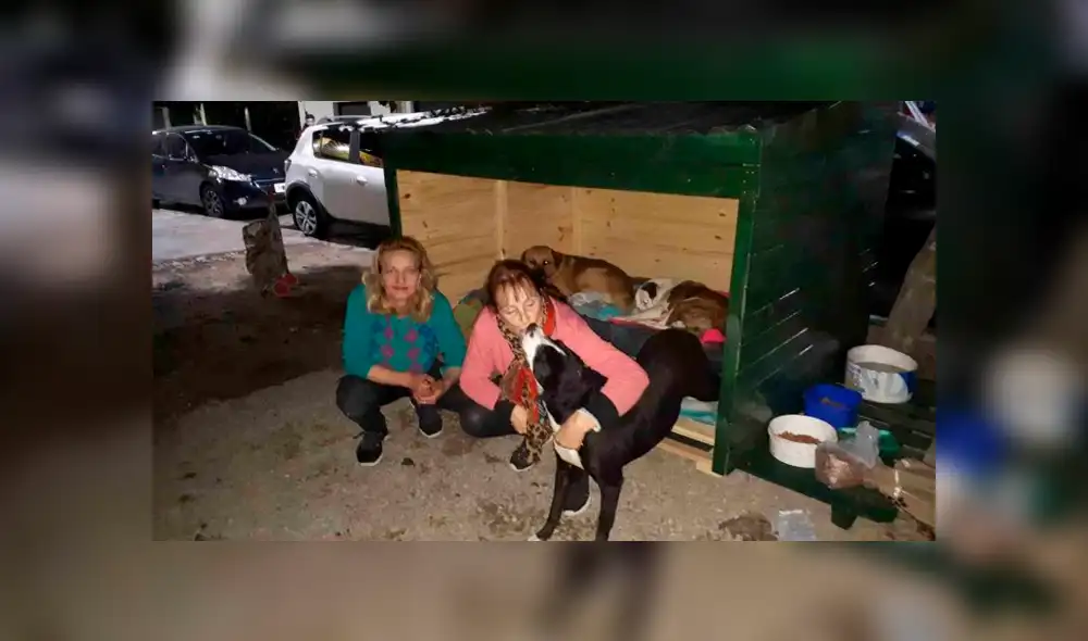 Desliza la imagen para ver la obra que realizaron las mujeres. Fotos: captura/Facebook