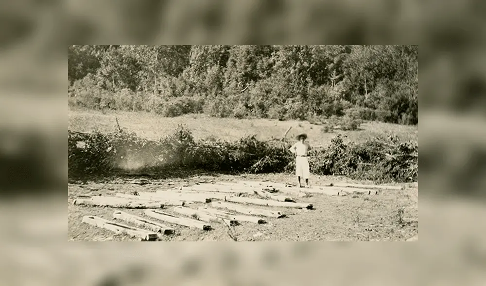 Ynés Mexía Ynés Mexía