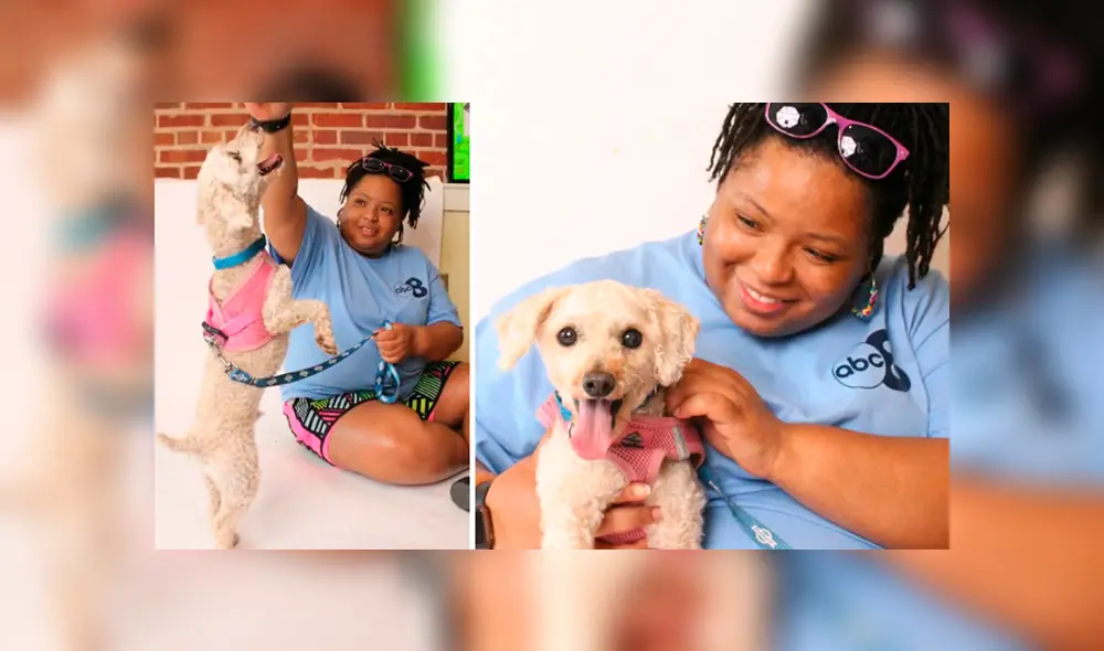 Lionheart: perro que sufrió maltratos durante dos años, fue rescatado y ahora luce un cambio impactante Lionheart: perro que sufrió maltratos durante dos años, fue rescatado y ahora luce un cambio impactante