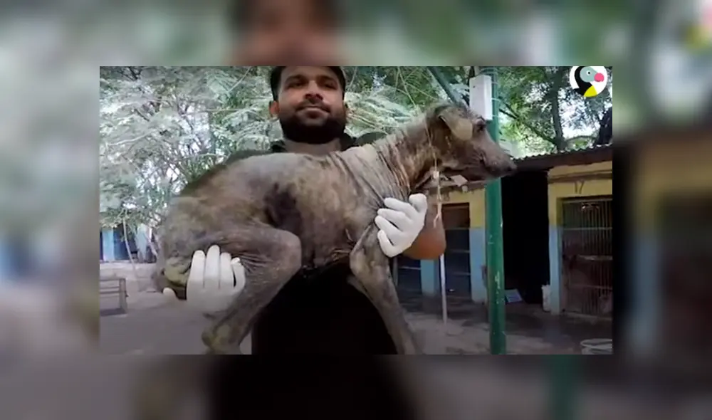 Desliza hacia la izquierda para ver las imágenes del viral de Facebook. Foto: Captura. Desliza hacia la izquierda para ver las imágenes del viral de Facebook. Foto: Captura.