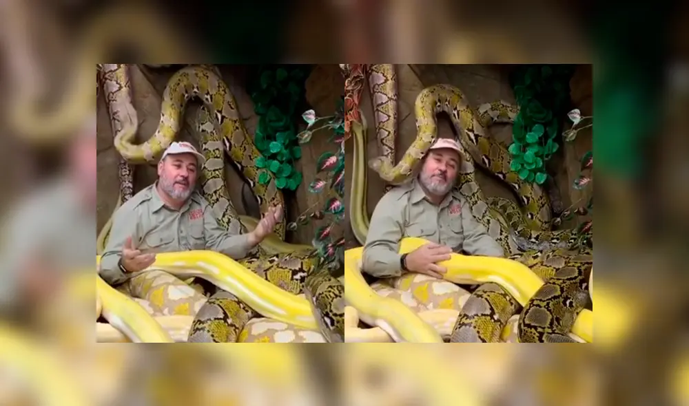 Facebook: hombre arriesga su vida al grabarse rodeado de temibles serpientes [VIDEO]