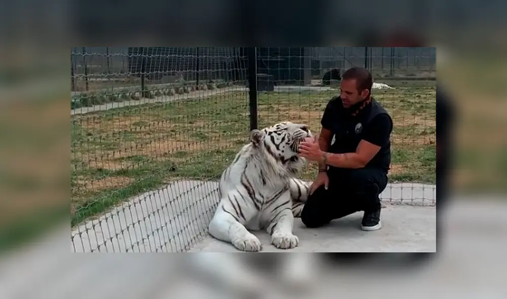 Desliza hacia la izquierda para ver las imágenes del viral de YouTube. Desliza hacia la izquierda para ver las imágenes del viral de YouTube.