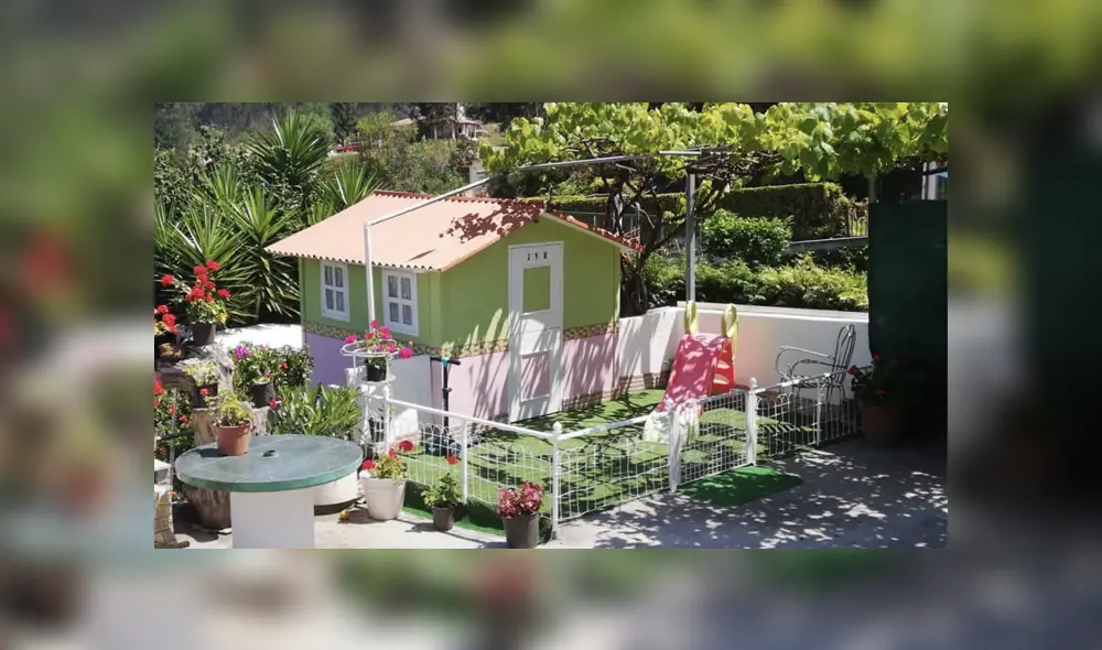 Unos abuelos aprovecharon la cuarentena para construir una casa de juegos para sus nietas. Foto: Twitter Unos abuelos aprovecharon la cuarentena para construir una casa de juegos para sus nietas. Foto: Twitter