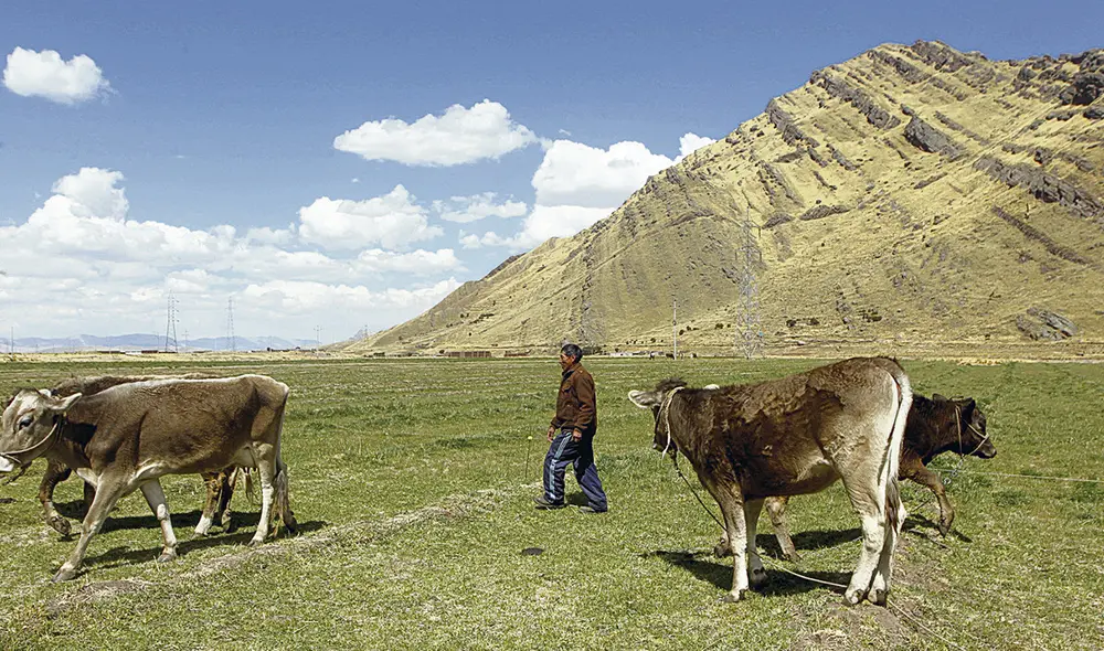 melgar puno mineria contaminacion minera