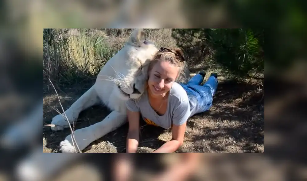 El video viral de YouTube muestra la reacción que tuvo una leona al toparse con una modelo hacía safari dentro de un peligroso campo de felinos.