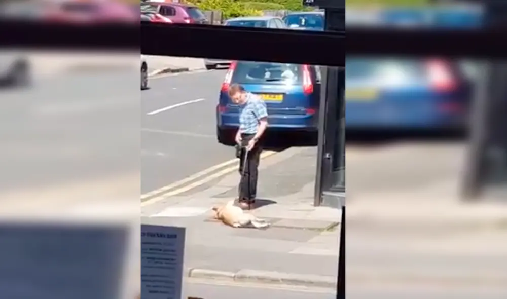En Facebook, un joven captó el preciso instante que un perro hizo una rabieta a su dueño en la calle, pero no logró su objetivo.